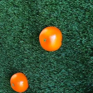 Meet your Posher, Skylar